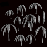 Anthurium 1