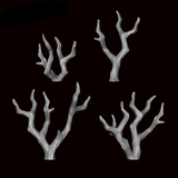 Dry Branches