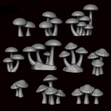 Button Mushrooms