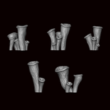 Trumpet Mushrooms