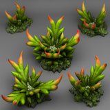 Creepy Bromeliad