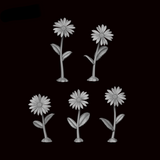 Daisy