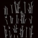 Phyllostachys