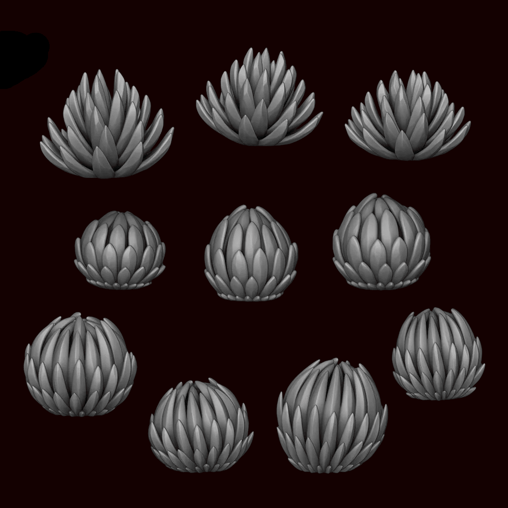 Agave Plant - Archies Forge