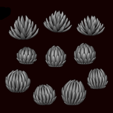 Agave Plant - Archies Forge