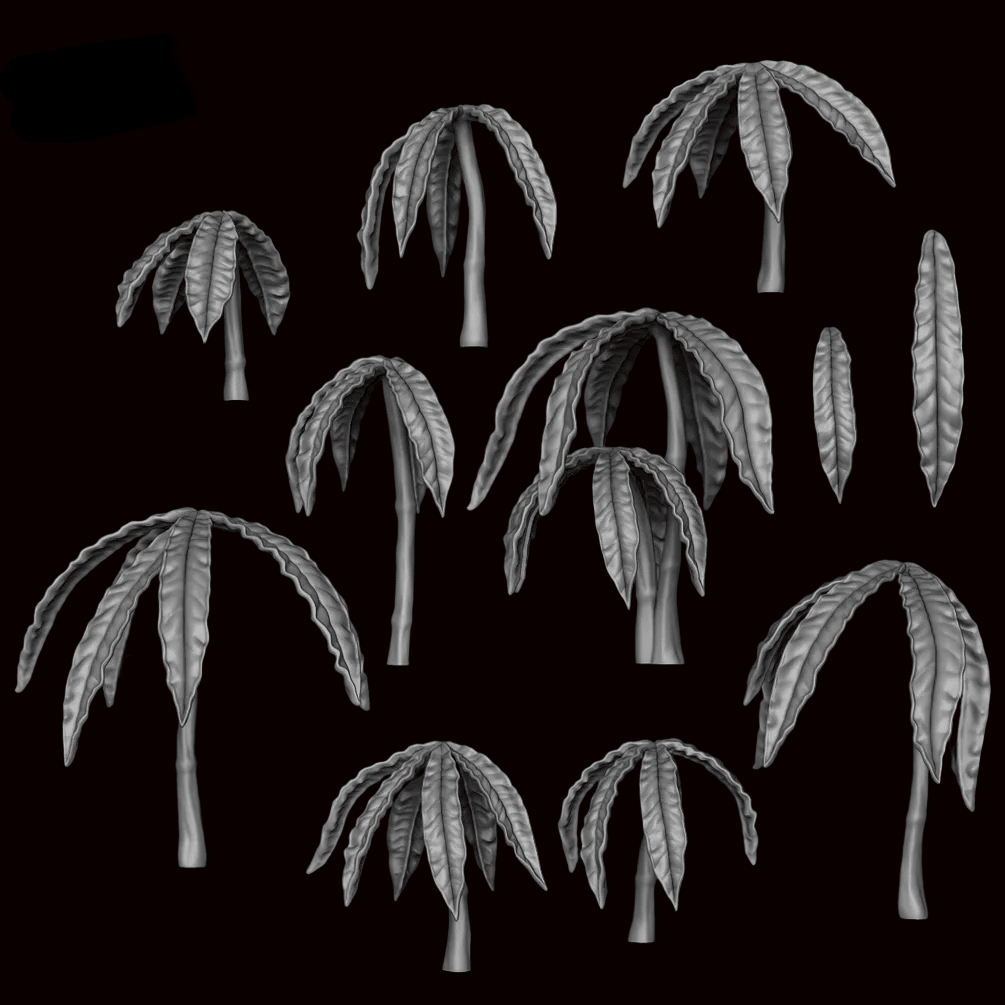 Anthurium 1 - Archies Forge