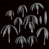 Anthurium 1 - Archies Forge