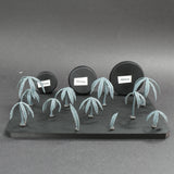 Anthurium 1 - Archies Forge