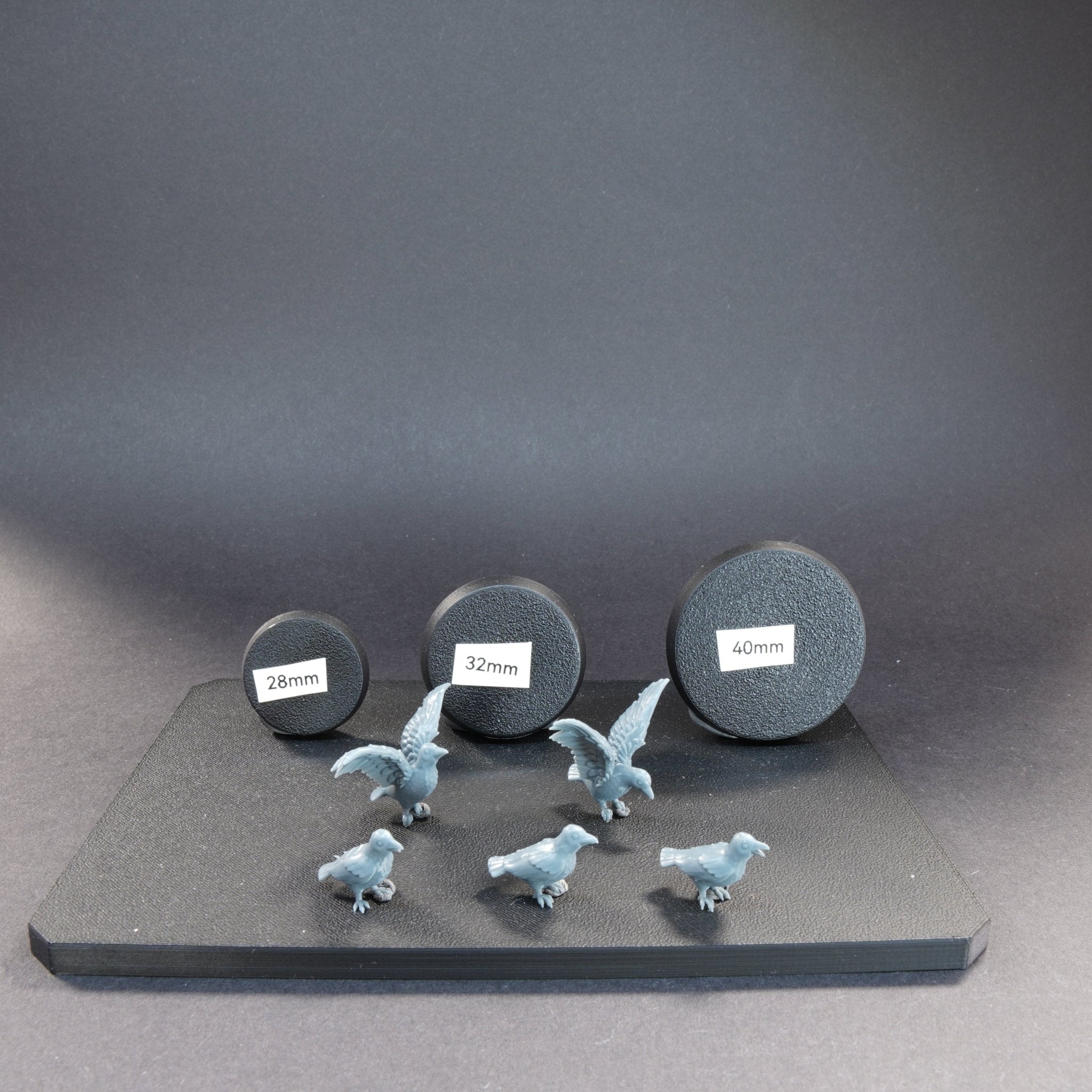Birds - Archies Forge