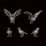 Birds - Archies Forge