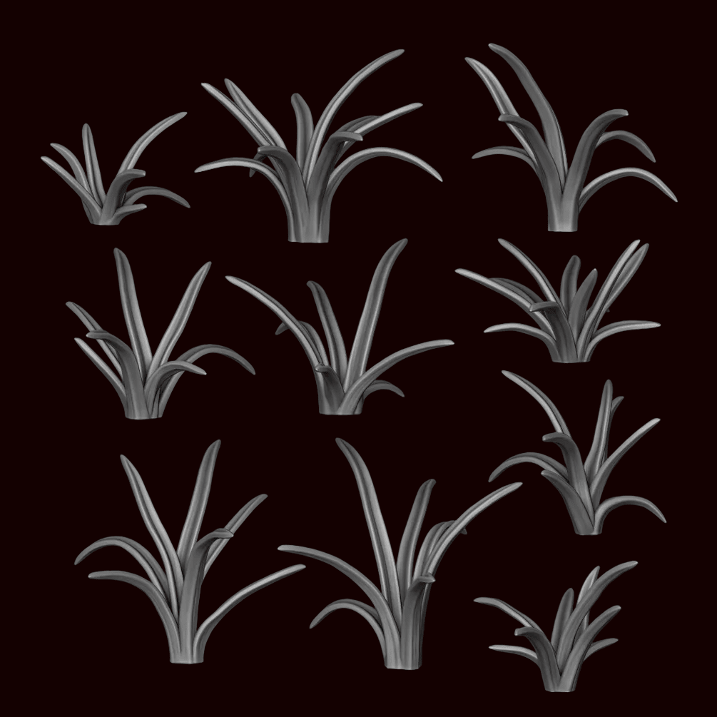 Chlorophytum Comosum Plant - Archies Forge