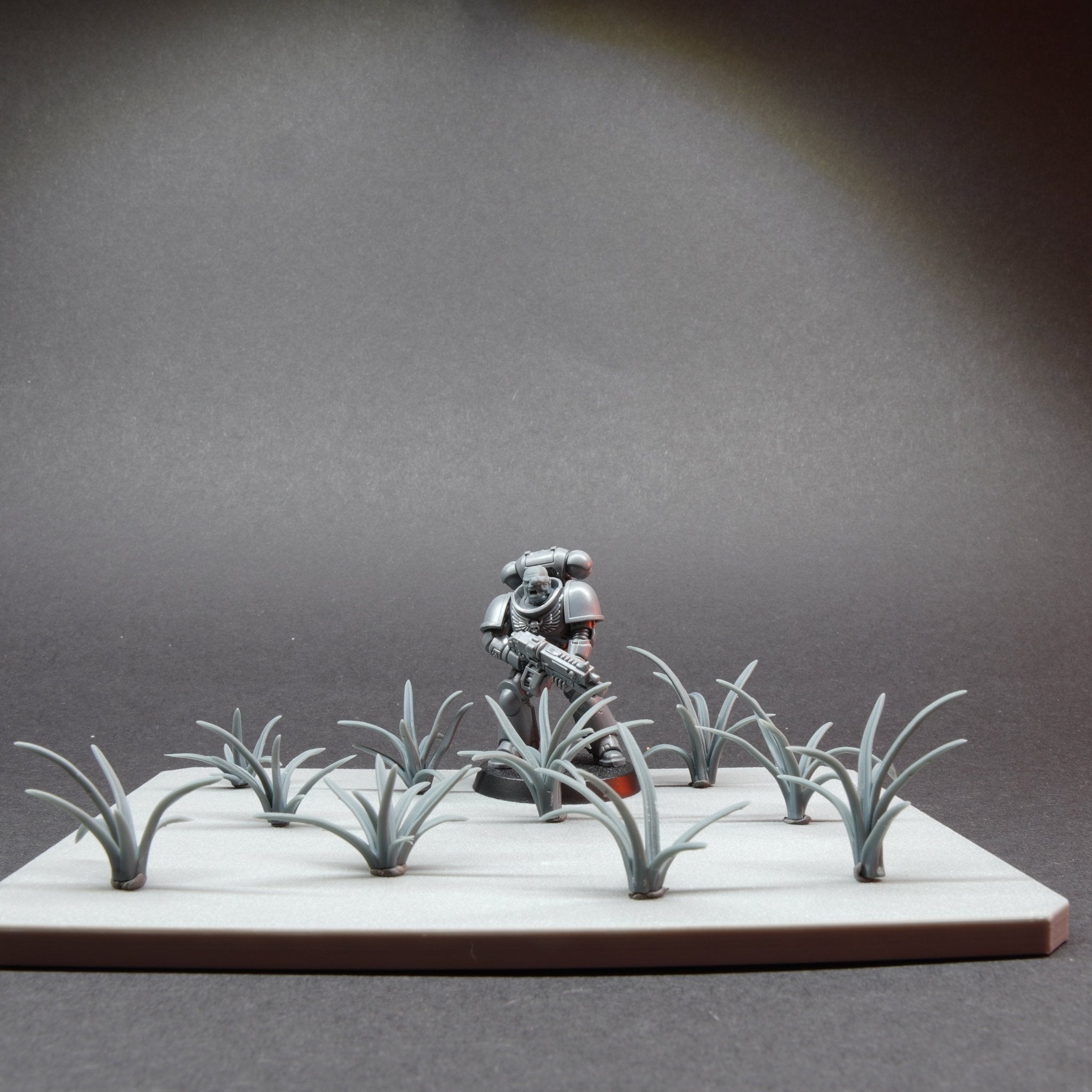 Chlorophytum Comosum Plant - Archies Forge