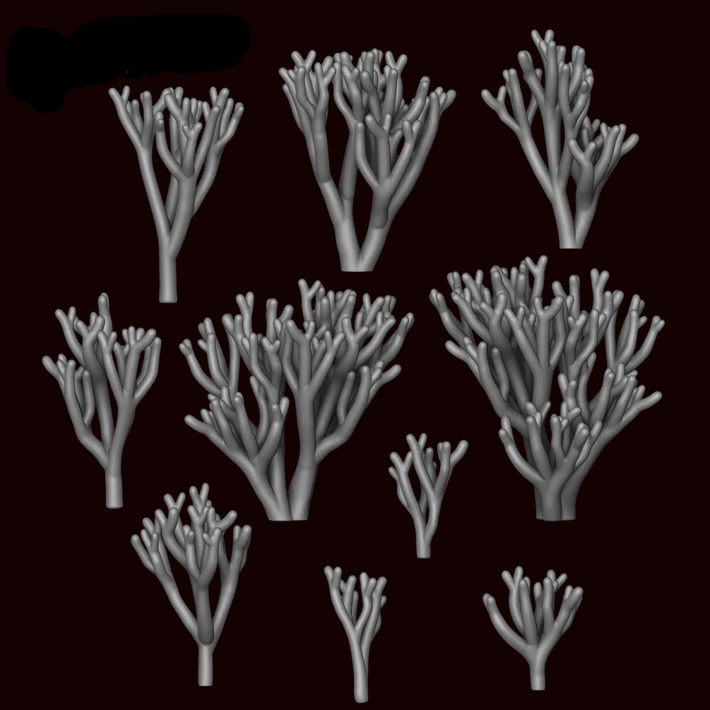 Clavaria Zollingeri Plant - Archies Forge