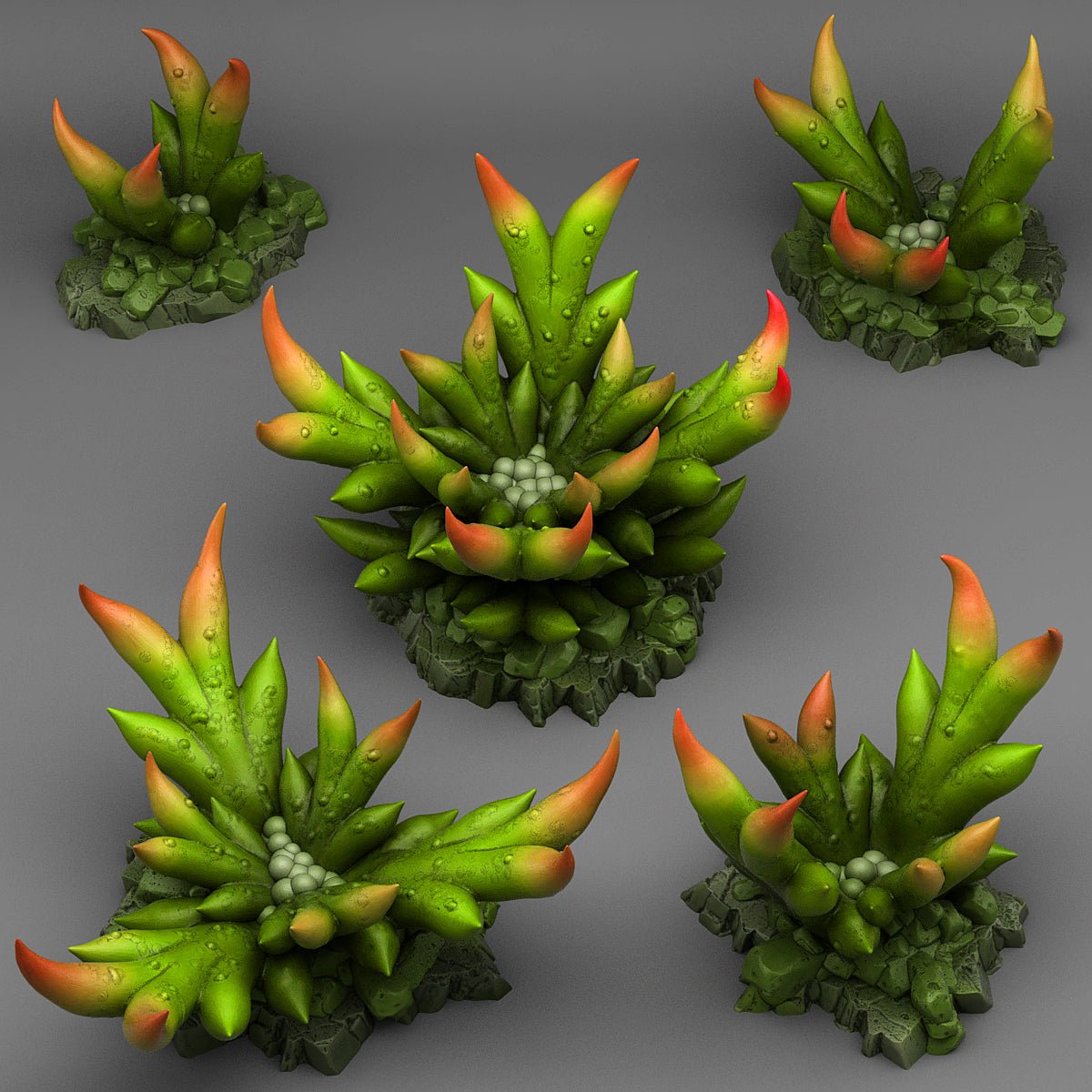 Creepy Bromeliad - Archies Forge