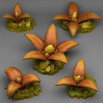 Dangerous Bee Plants - Archies Forge