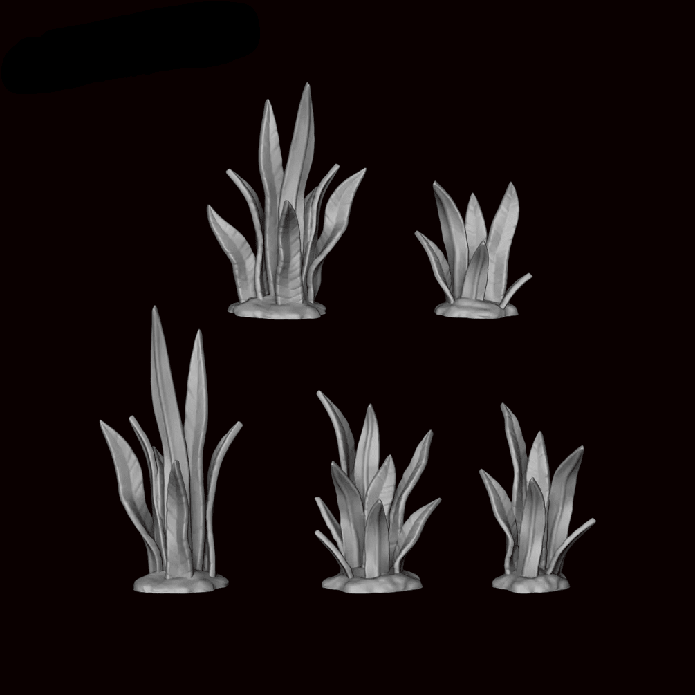 Devils Tongue Plant - Archies Forge