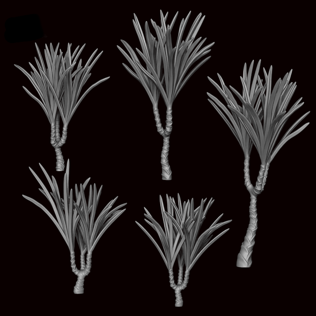 Dragon Tree - Archies Forge