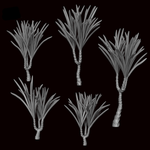 Dragon Tree - Archies Forge