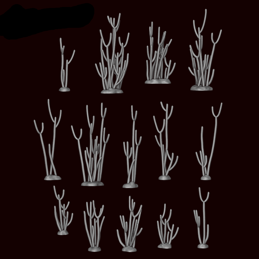 Euphorbia Tirucalli Plant - Archies Forge