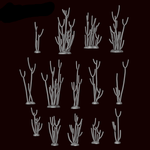 Euphorbia Tirucalli Plant - Archies Forge