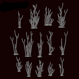 Euphorbia Tirucalli Plant - Archies Forge