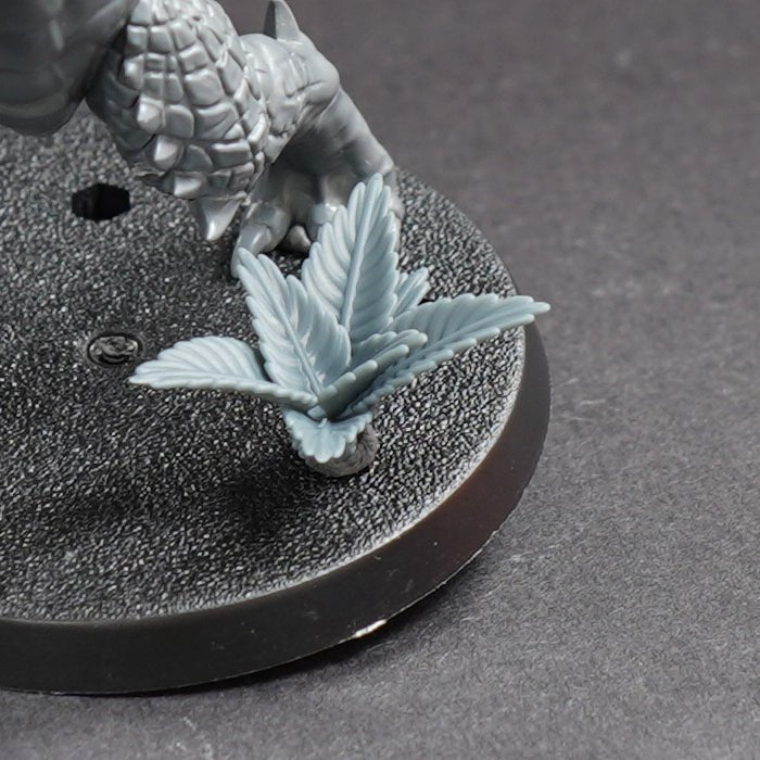 Ferns 1 - Archies Forge