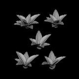 Ferns 1 - Archies Forge