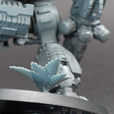 Ferns 1 - Archies Forge
