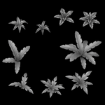 Ferns 2 - Archies Forge