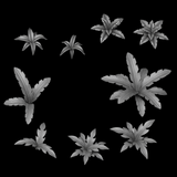 Ferns 2 - Archies Forge