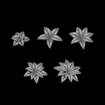 Ferns 3 - Archies Forge