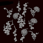 Hoya Plant - Archies Forge