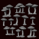 Mushrooms - Amanita Muscaria - Archies Forge