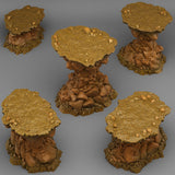 Natural Platform Stones - Archies Forge
