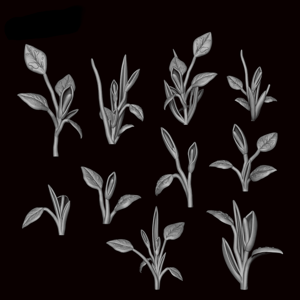 Philodendron 1 - Archies Forge