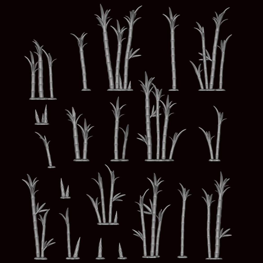 Phyllostachys - Archies Forge