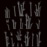 Phyllostachys - Archies Forge