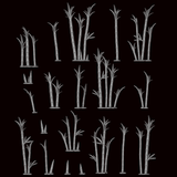 Phyllostachys - Archies Forge