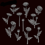 Poppy Plants - Archies Forge