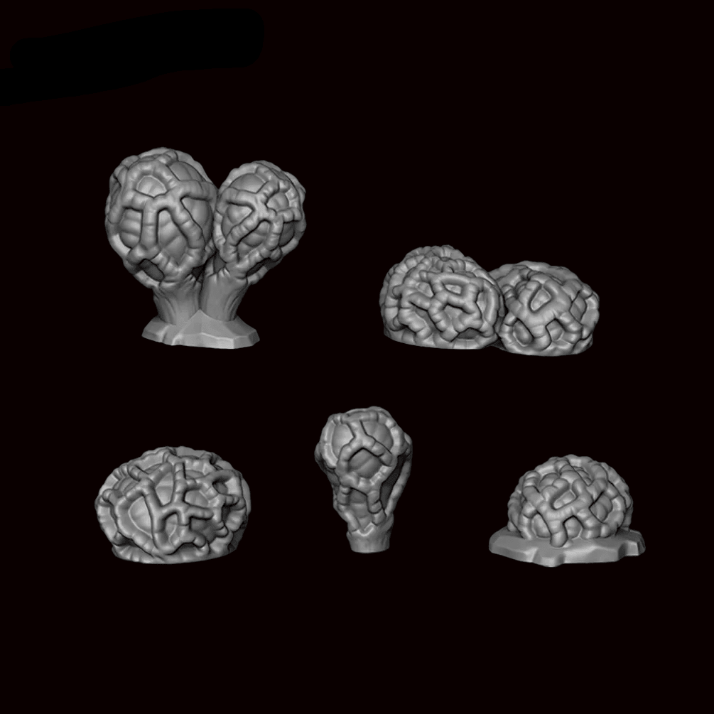 Pusillus Mushrooms - Archies Forge