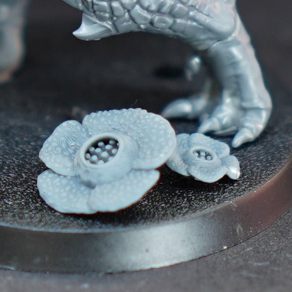 Raffelesia - Archies Forge
