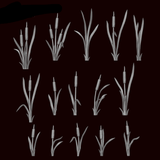 Reeds - Cats Tails - Archies Forge
