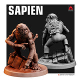 Sapien - Archies Forge