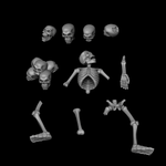 Skulls and Bones - Archies Forge