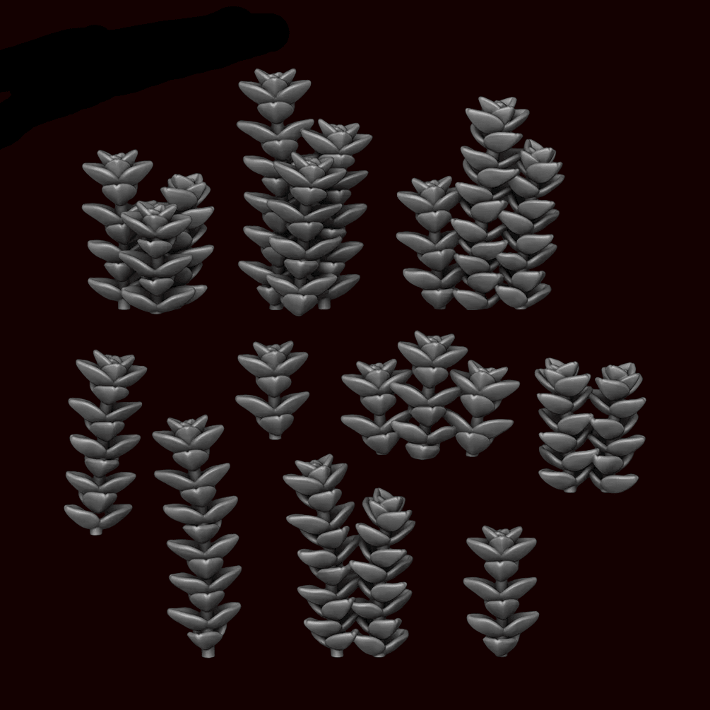 Succulent - Crasula Perforata - Archies Forge