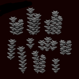 Succulent - Crasula Perforata - Archies Forge