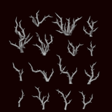 Thorny Brambles - Archies Forge