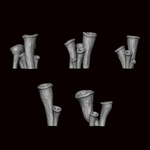 Trumpet Mushrooms - Archies Forge