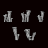 Trumpet Mushrooms - Archies Forge