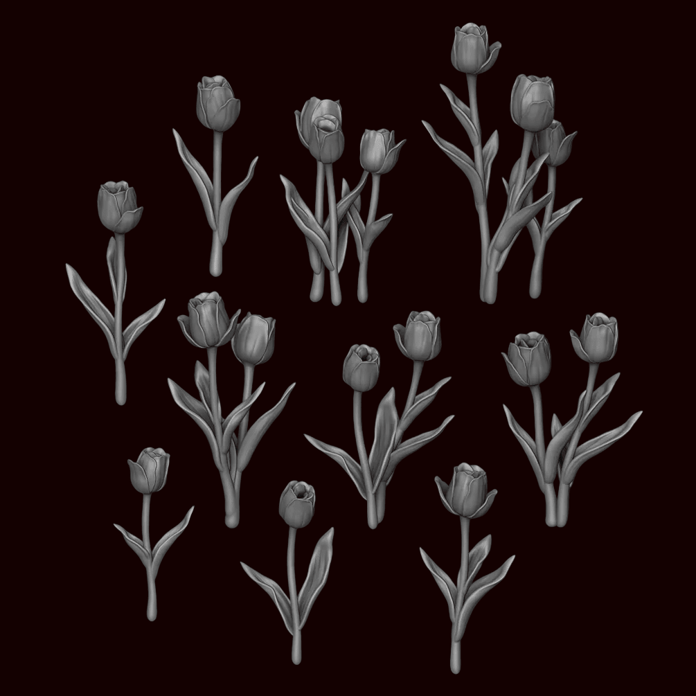 Tulip Plants - Archies Forge